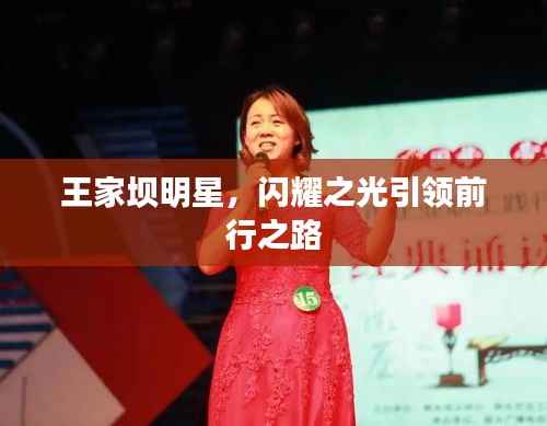 王家坝明星,闪耀之光引领前行之路